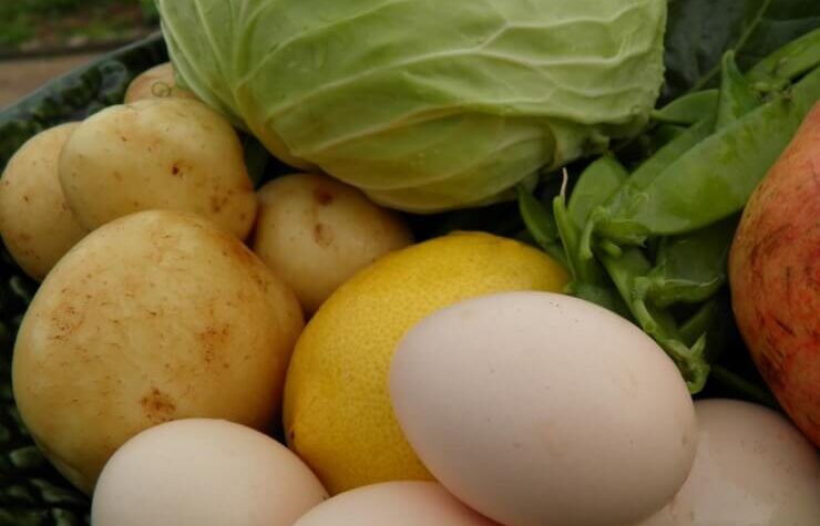 dónde comprar productos orgánicos