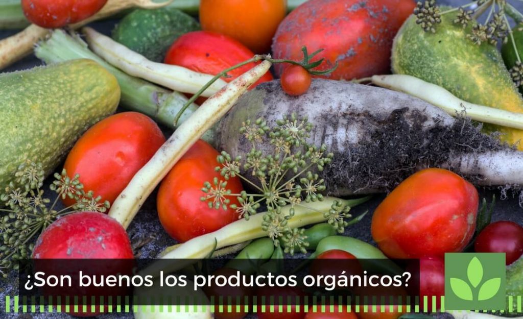 mitos sobre la nutrición