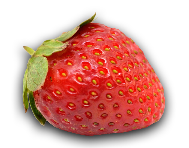 venta de productos naturales