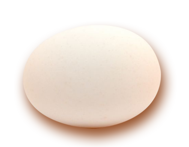 venta de productos orgánicos