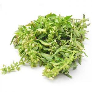 albahaca fresca orgánica