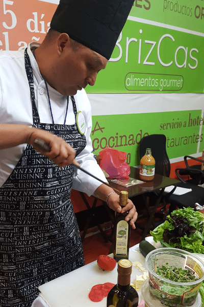 brizcas misión y visión