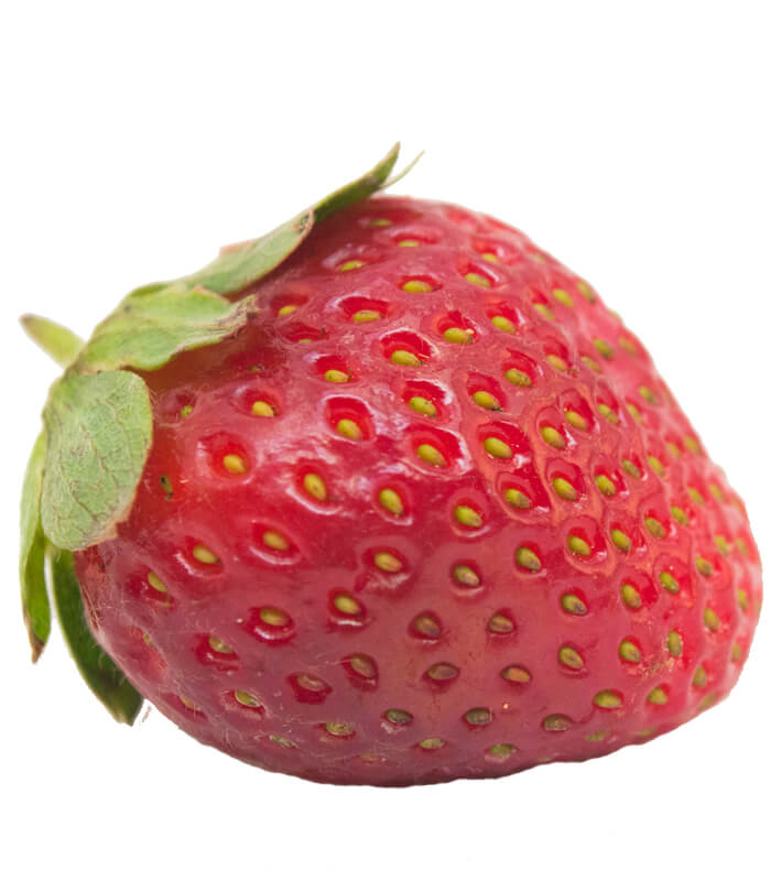 fresa orgánica